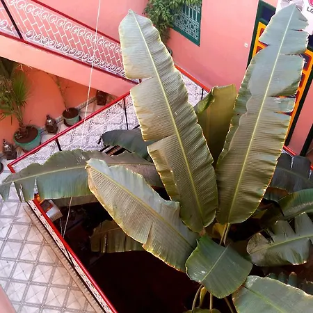 Riad Espagne-3