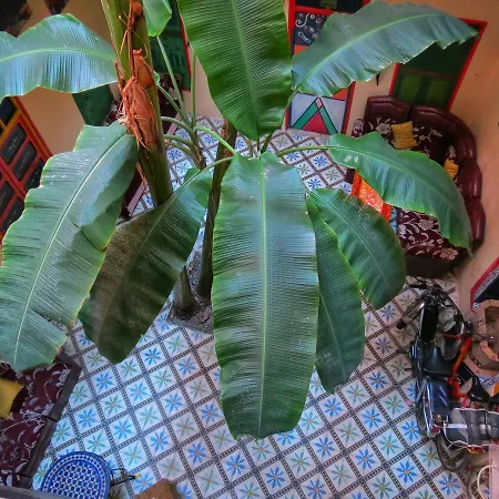 Riad Espagne-3